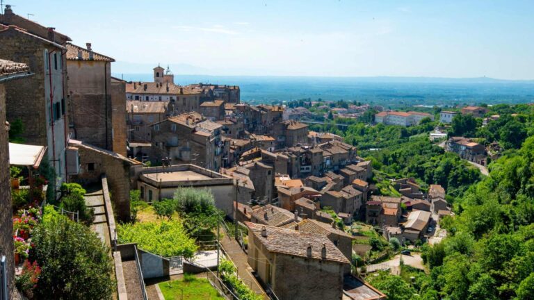 Shutterstock_2409901285 (1)