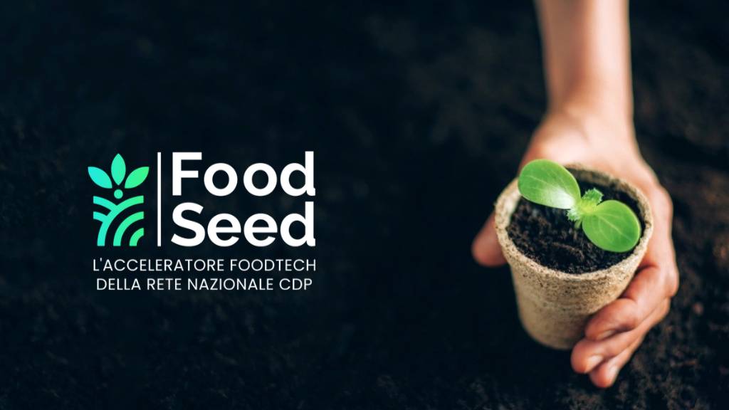 FoodSeed, al via la seconda edizione dell'acceleratore foodtech di CDP