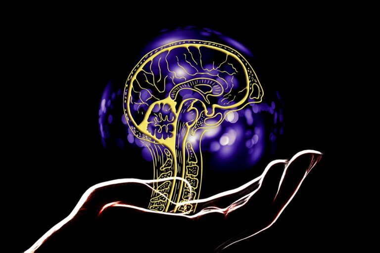 Intelligenza Artificiale e assicurazioni: quale compatibilità con la mutualità del rischio?
