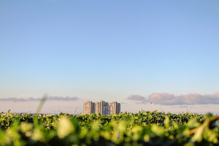 Data intelligence ESG per l'immobiliare: la startup francese Deepki raccoglie 150 milioni e punta sull'Europa