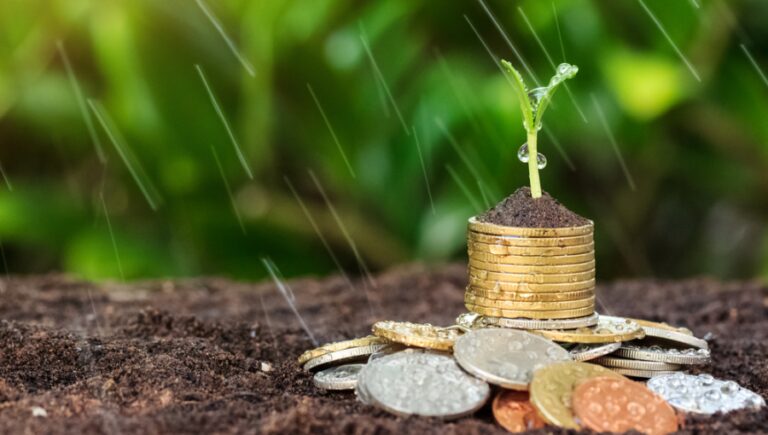 Insurtech, un milione di euro per l'italiana Yolo