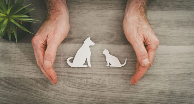 Pet Insurance, trend e startup di un mercato da 6,9 miliardi di dollari