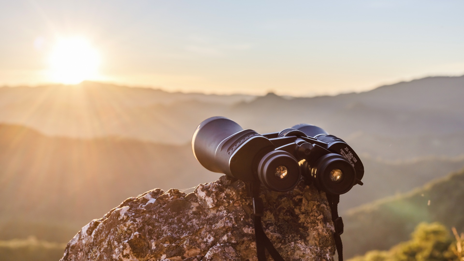 shutterstock_2078496661-1
