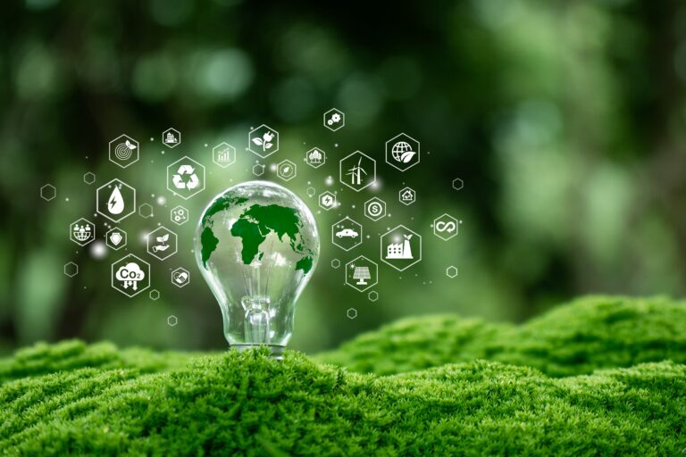 Le imprese dopo Cop29: adesso non possono rinunciare alle energie rinnovabili