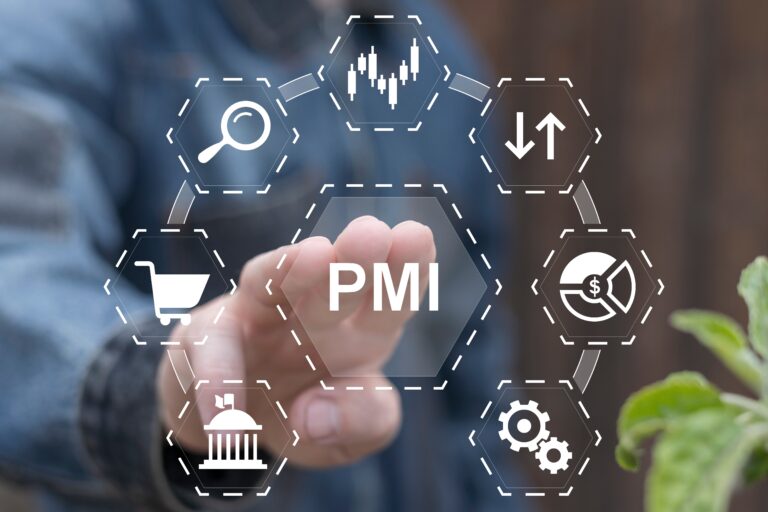 PMI: cosa sono, quante sono in Italia, come affrontano la digitalizzazione