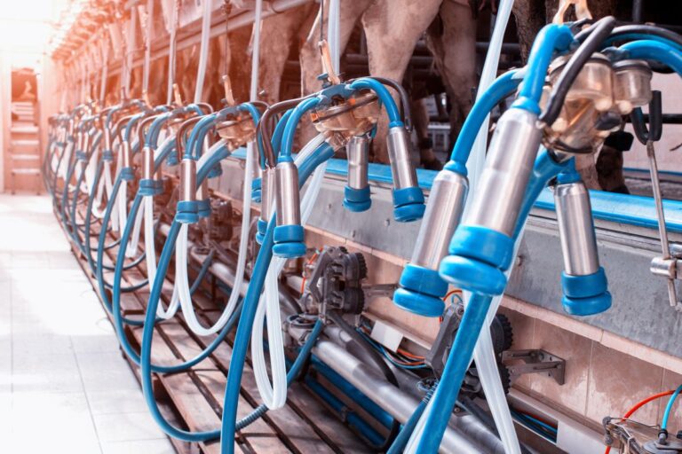 Casi di innovazione aperta: Lactalis Italia e la startup Deix per ottimizzare la manutenzione industriale