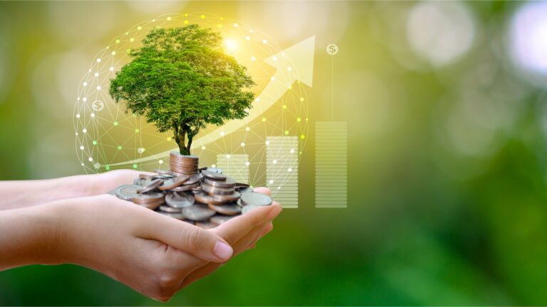 Come coniugare sostenibilità e innovazione per trasformare in meglio la propria impresa