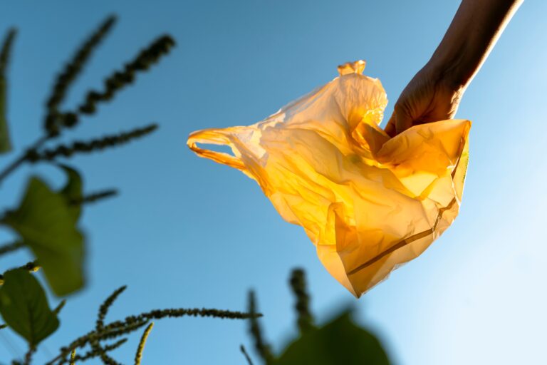 Packaging e spreco alimentare: 3 startup italiane scelte da FoodSeed