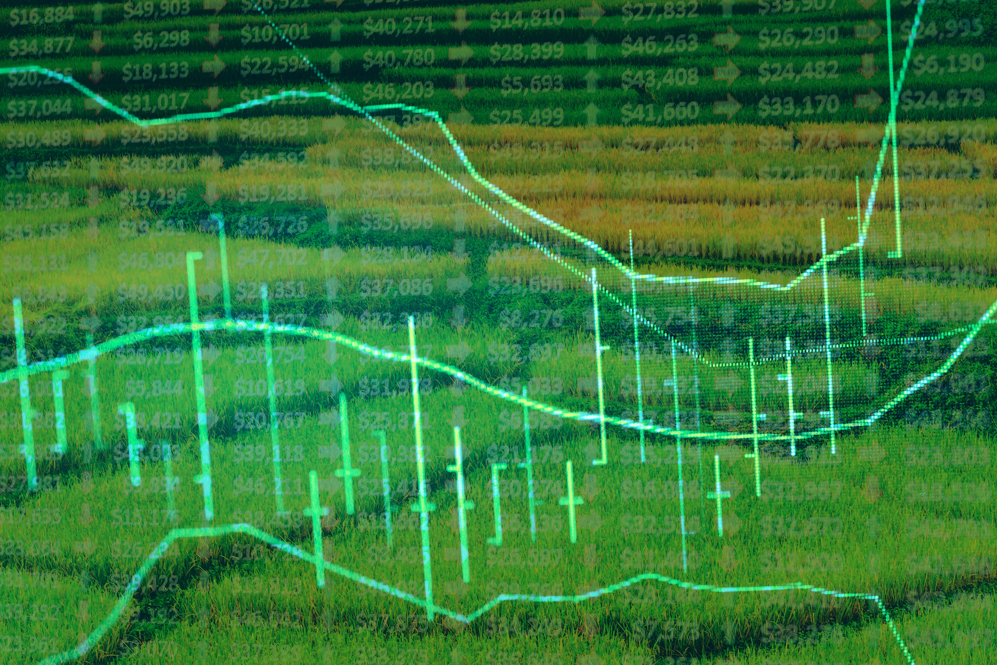 Startup della bioeconomia