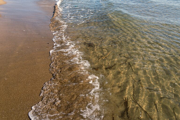 Call per startup dell'acqua a Catania