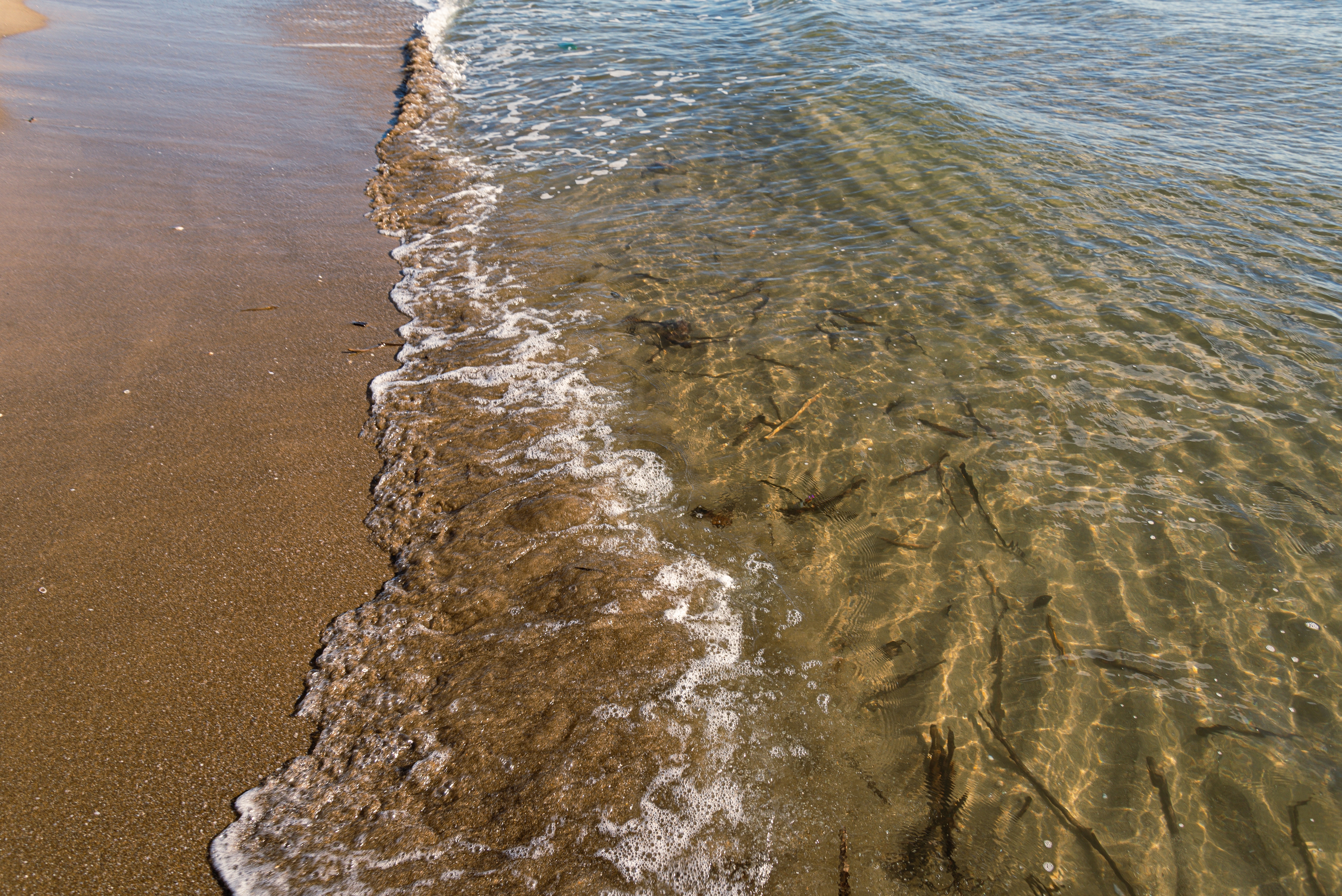 Call per startup dell'acqua a Catania