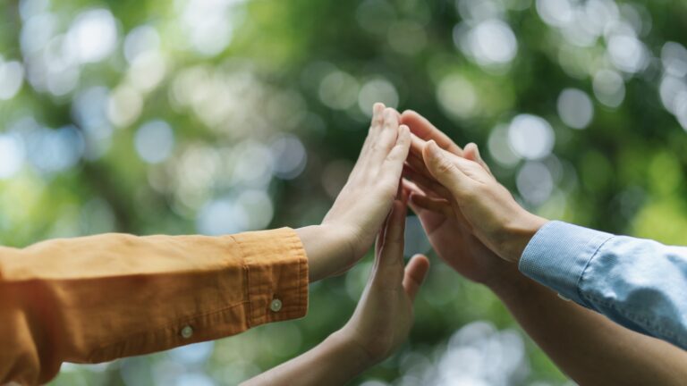 Startup della sostenibilità e della transizione energetica